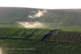 Image du Maroc Professionnelle de  Agriculture moderne système d'arrosage mobile dans le Gharb région de Larache au Nord Ouest du Maroc, Lundi 1er Juillet 2002. (Photo / Abdeljalil Bounhar) 